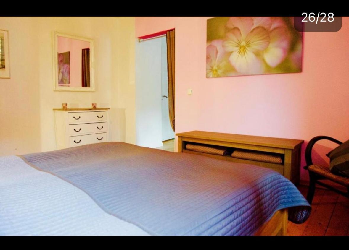 Apartment Moselblick Mit Kamin Traben-Trarbach Exterior photo